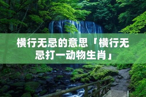 横行无忌的意思「横行无忌打一动物生肖」