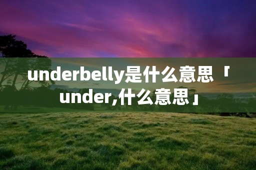 underbelly是什么意思「under,什么意思」 underbelly是什么意思「under,什么意思」