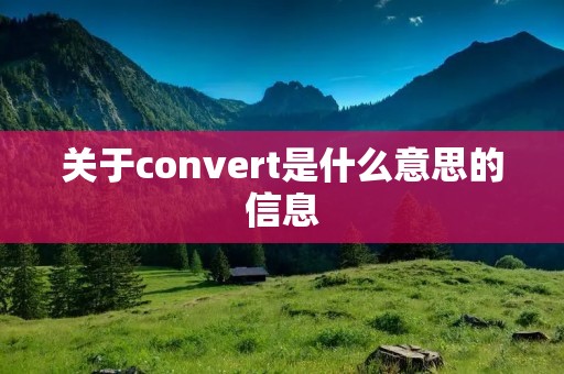 关于convert是什么意思的信息