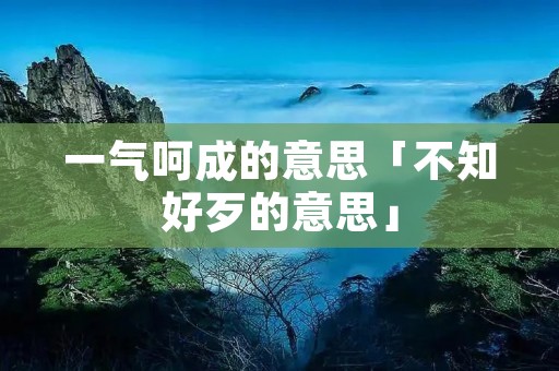 一气呵成的意思「不知好歹的意思」