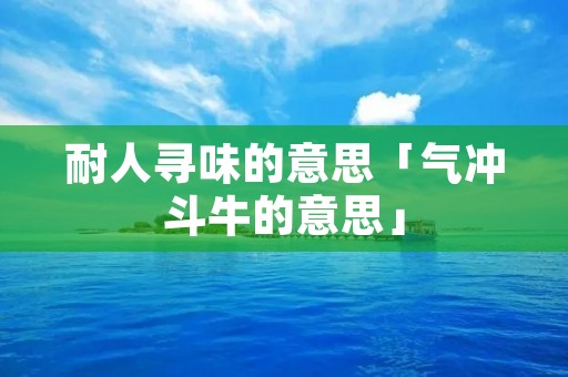 耐人寻味的意思「气冲斗牛的意思」