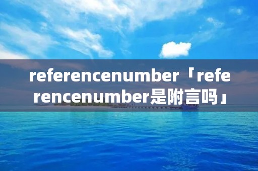 referencenumber「referencenumber是附言吗」