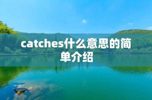 catches什么意思的简单介绍 catches什么意思的简单介绍