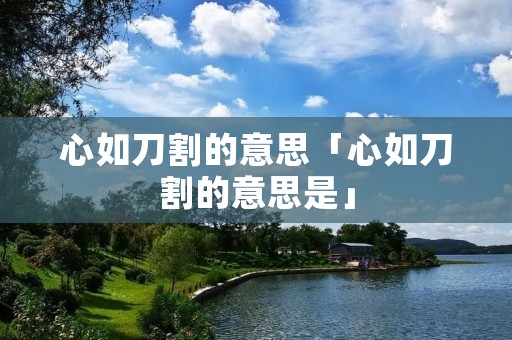 心如刀割的意思「心如刀割的意思是」