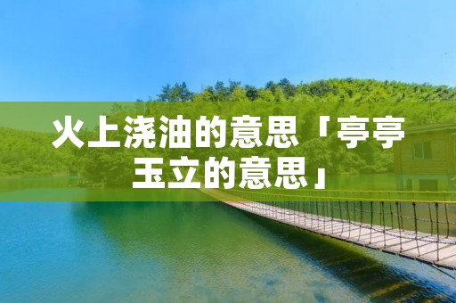 火上浇油的意思「亭亭玉立的意思」