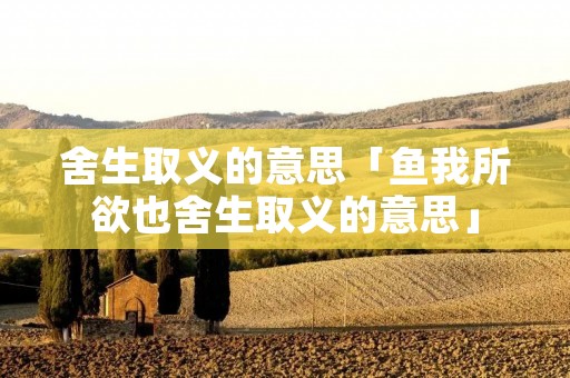 舍生取义的意思「鱼我所欲也舍生取义的意思」