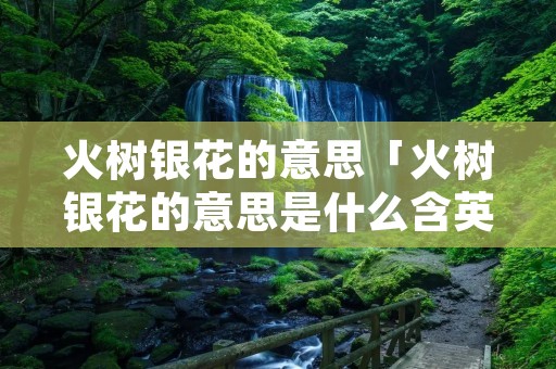火树银花的意思「火树银花的意思是什么含英咀华」