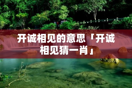 开诚相见的意思「开诚相见猜一肖」