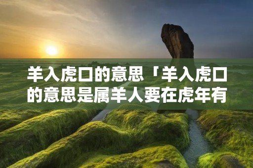 羊入虎口的意思「羊入虎口的意思是属羊人要在虎年有灾祸吗?」