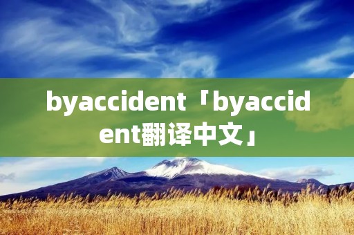 byaccident「byaccident翻译中文」