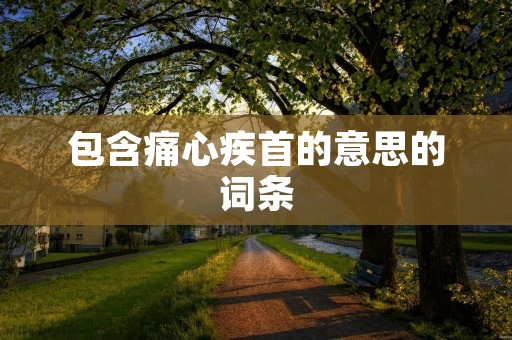 包含痛心疾首的意思的词条