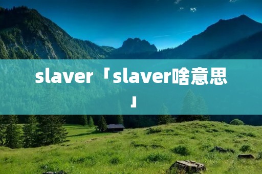 slaver「slaver啥意思」