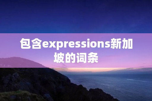 包含expressions新加坡的词条