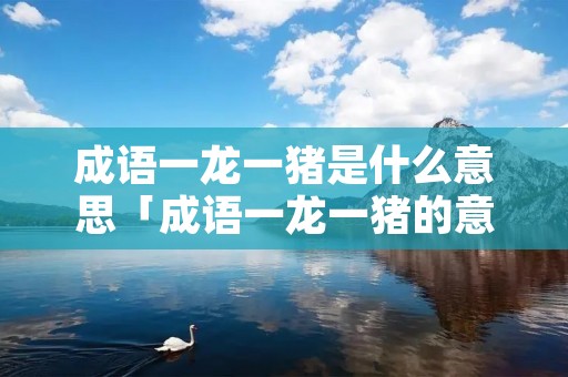 成语一龙一猪是什么意思「成语一龙一猪的意思」
