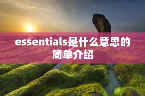 essentials是什么意思的简单介绍 essentials是什么意思的简单介绍