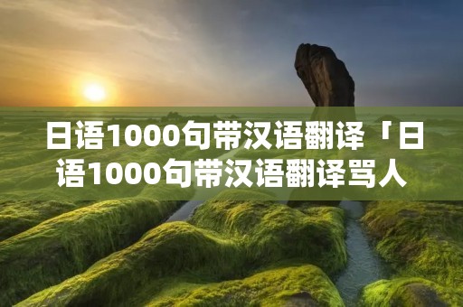日语1000句带汉语翻译「日语1000句带汉语翻译骂人点 读」