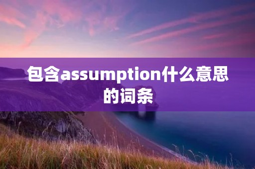 包含assumption什么意思的词条