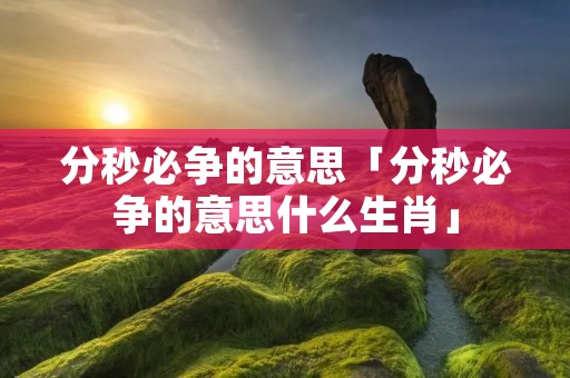 分秒必争的意思「分秒必争的意思什么生肖」