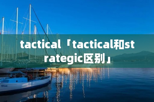 tactical「tactical和strategic区别」