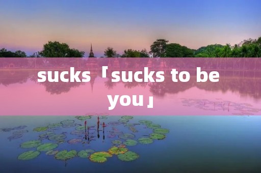 sucks「sucks to be you」