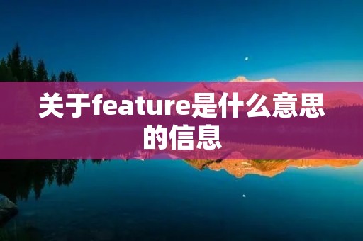 关于feature是什么意思的信息