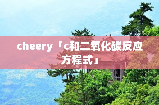 cheery「c和二氧化碳反应方程式」