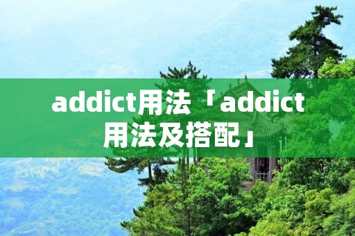addict用法「addict用法及搭配」