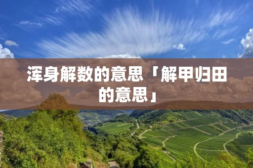 浑身解数的意思「解甲归田的意思」