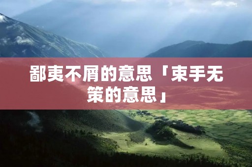 鄙夷不屑的意思「束手无策的意思」