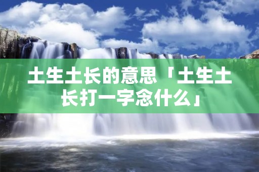 土生土长的意思「土生土长打一字念什么」