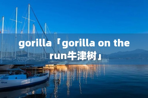 gorilla「gorilla on the run牛津树」 gorilla「gorilla on the run牛津树」