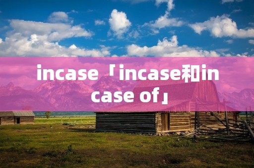 incase「incase和in case of」
