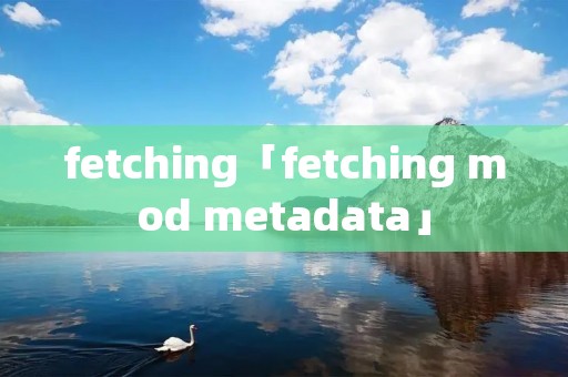 fetching「fetching mod metadata」