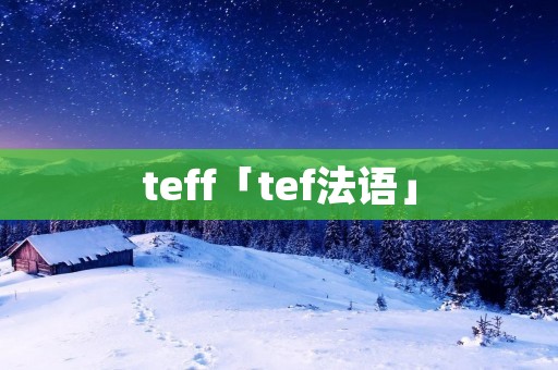 teff「tef法语」