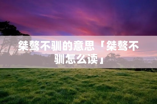 桀骜不驯的意思「桀骜不驯怎么读」
