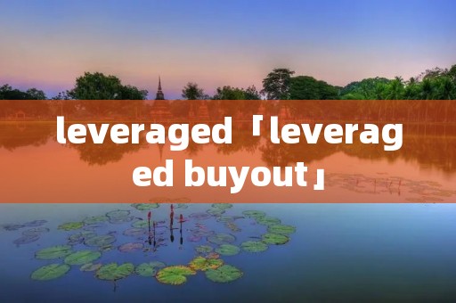 leveraged「leveraged buyout」