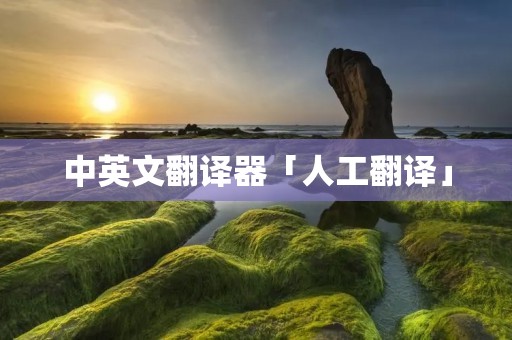 中英文翻译器「人工翻译」