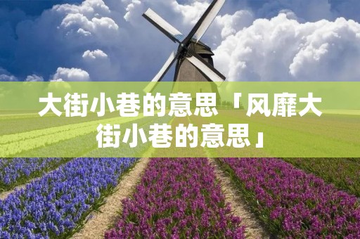 大街小巷的意思「风靡大街小巷的意思」 大街小巷的意思「风靡大街小巷的意思」