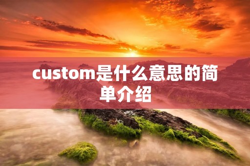 custom是什么意思的简单介绍
