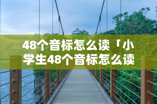 48个音标怎么读「小学生48个音标怎么读」