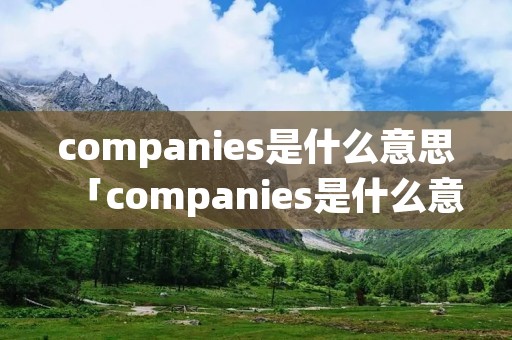 companies是什么意思「companies是什么意思中文」 companies是什么意思「companies是什么意思中文」