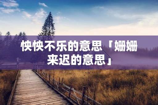 怏怏不乐的意思「姗姗来迟的意思」