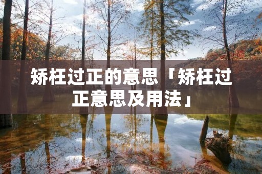 矫枉过正的意思「矫枉过正意思及用法」