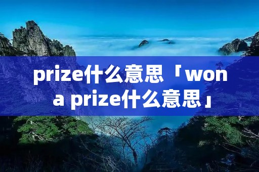 prize什么意思「won a prize什么意思」