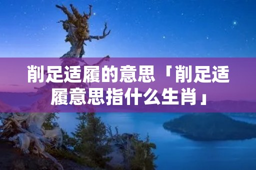 削足适履的意思「削足适履意思指什么生肖」