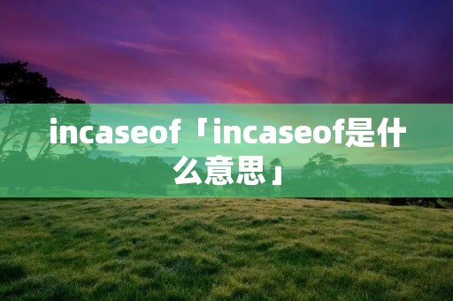 incaseof「incaseof是什么意思」