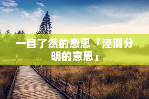 一目了然的意思「泾渭分明的意思」
