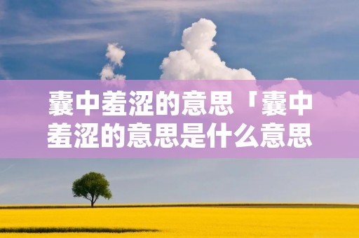囊中羞涩的意思「囊中羞涩的意思是什么意思,代表哪生肖」