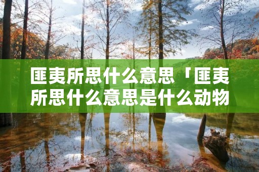 匪夷所思什么意思「匪夷所思什么意思是什么动物」