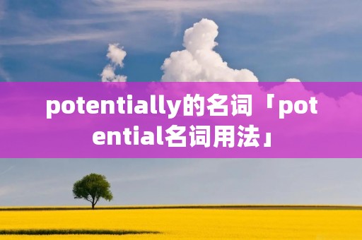 potentially的名词「potential名词用法」
